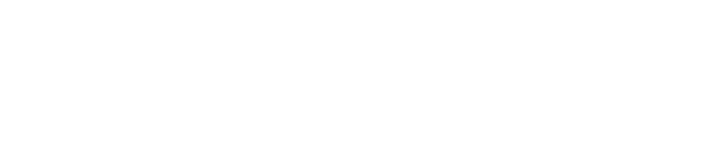 Titan Motorsports Logo Wide