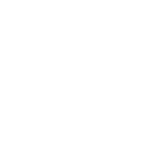 Icon Vehicle Dynamics Logo